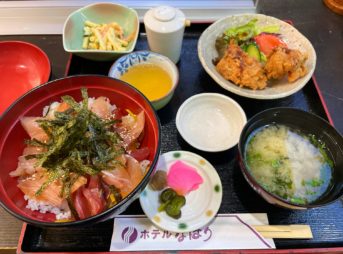 奈半利でマグロ丼